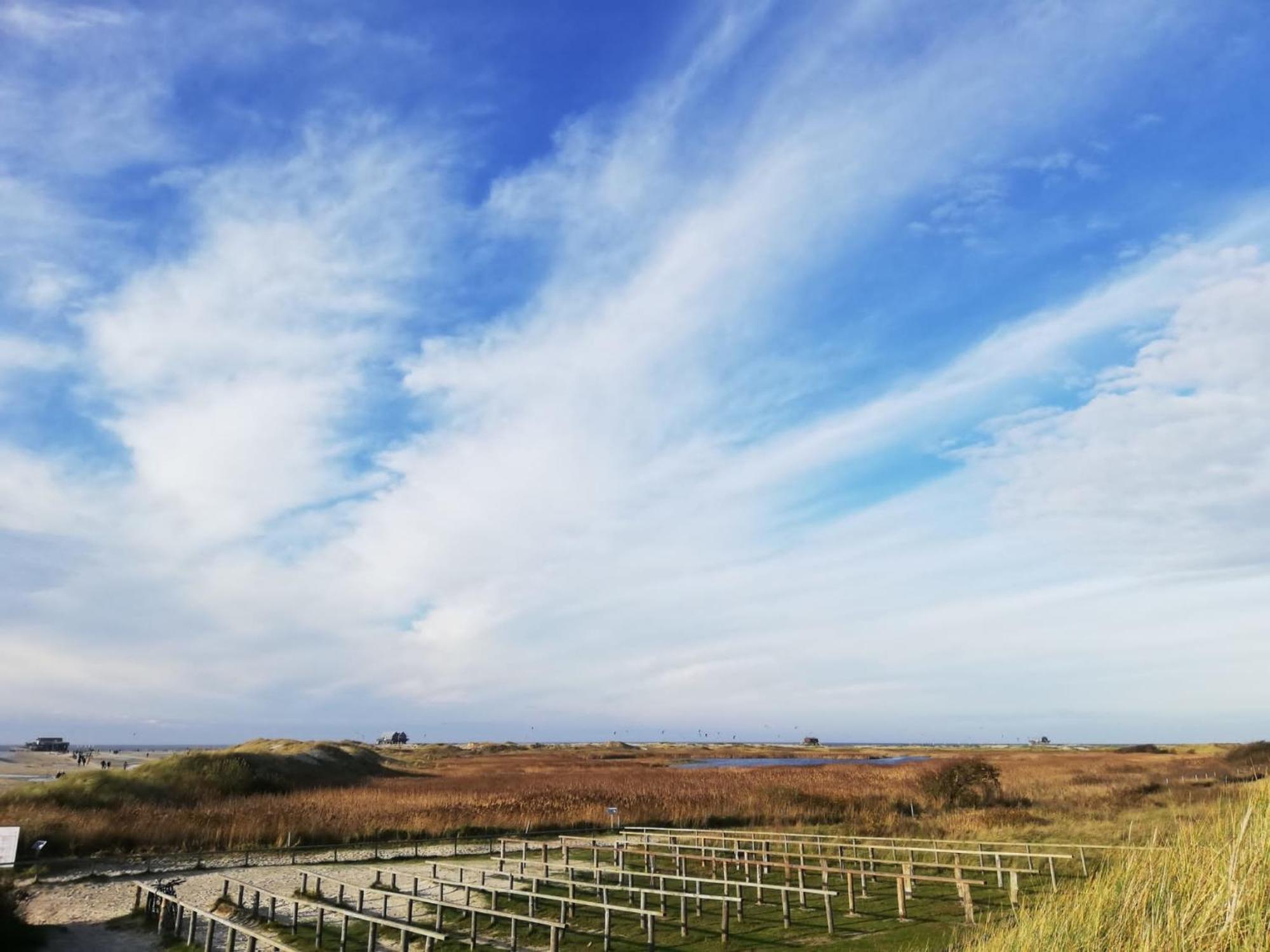 Böhl Birkenlundヴィラ エクステリア 写真